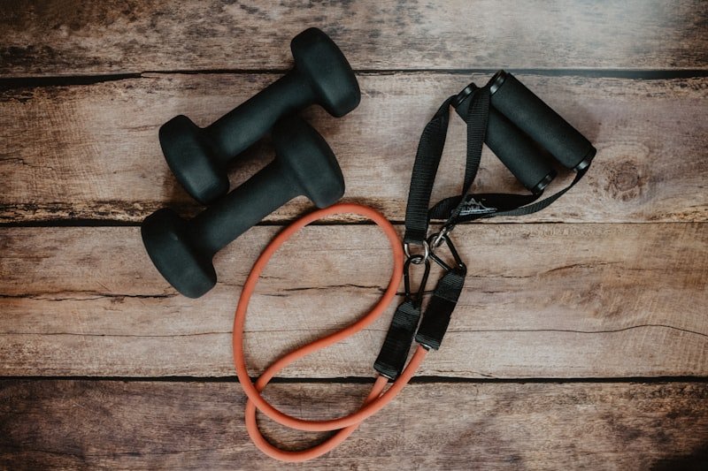 Bowflex SelectTech 552 Dumbbells